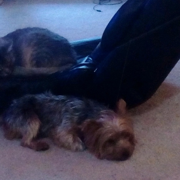 Meet your Posher, Dawna - Picture 1 of 1